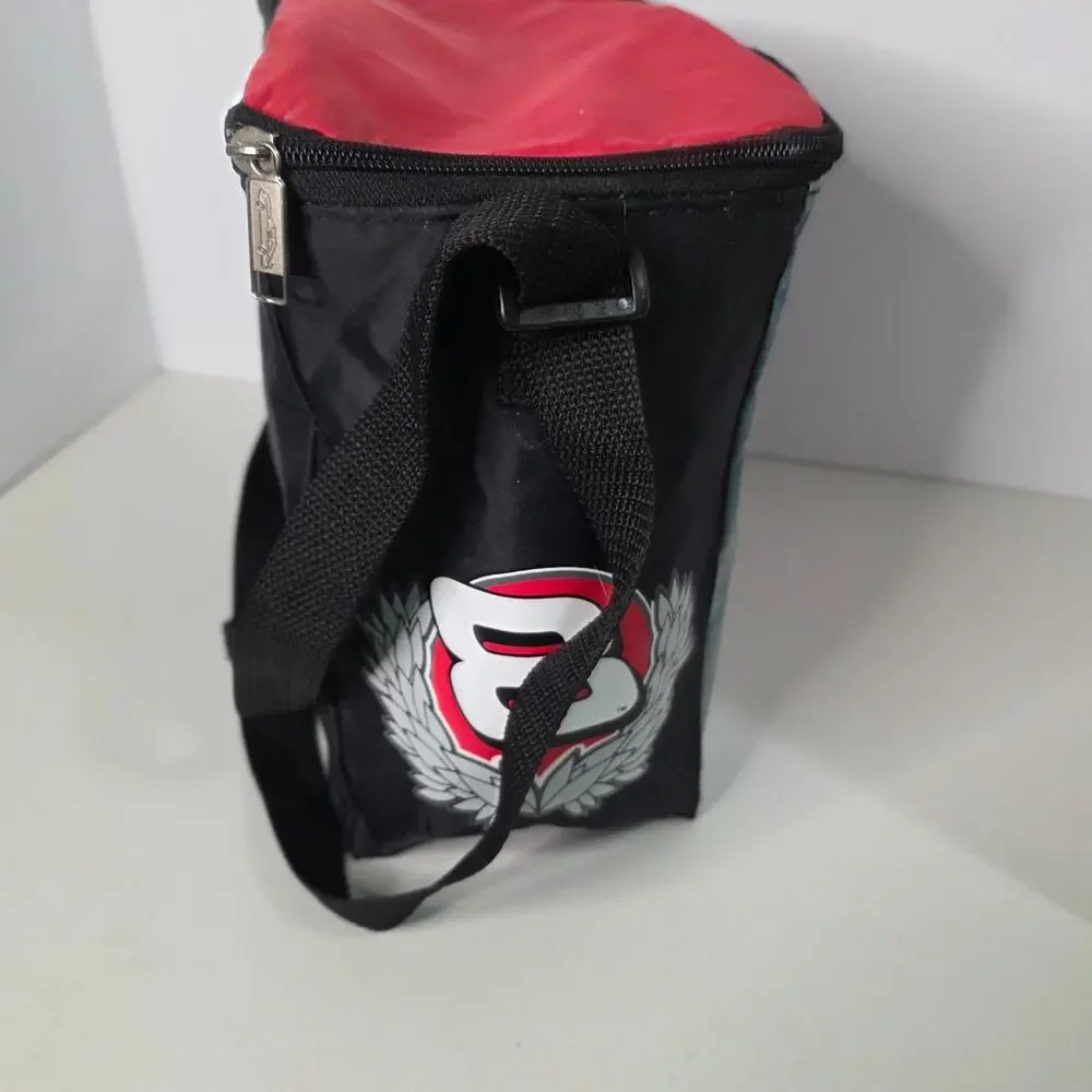 vintage NASCAR Dale Earnhardt Jr. #8 insulated cooler bag